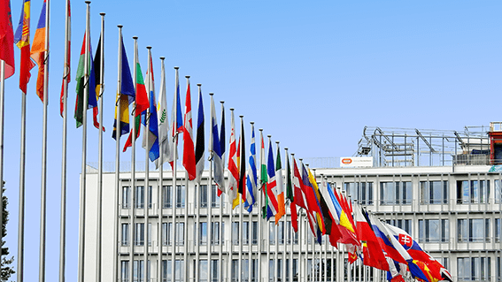 Flaggorna från olika nationaliteter som vajar mot den klarblå himlen symboliserar enhet i mångfald och ger en känsla av global gemenskap och samhörighet, där varje flagga representerar en unik kultur och historia.