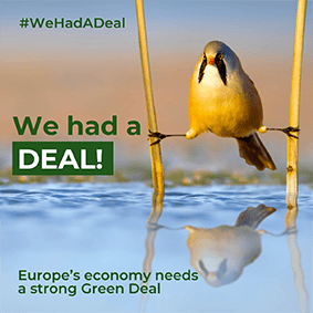 Fågel och texten We had a deal #GreenDeal.