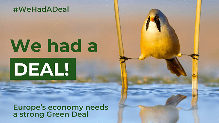 Fågel och texten We had a deal #GreenDeal