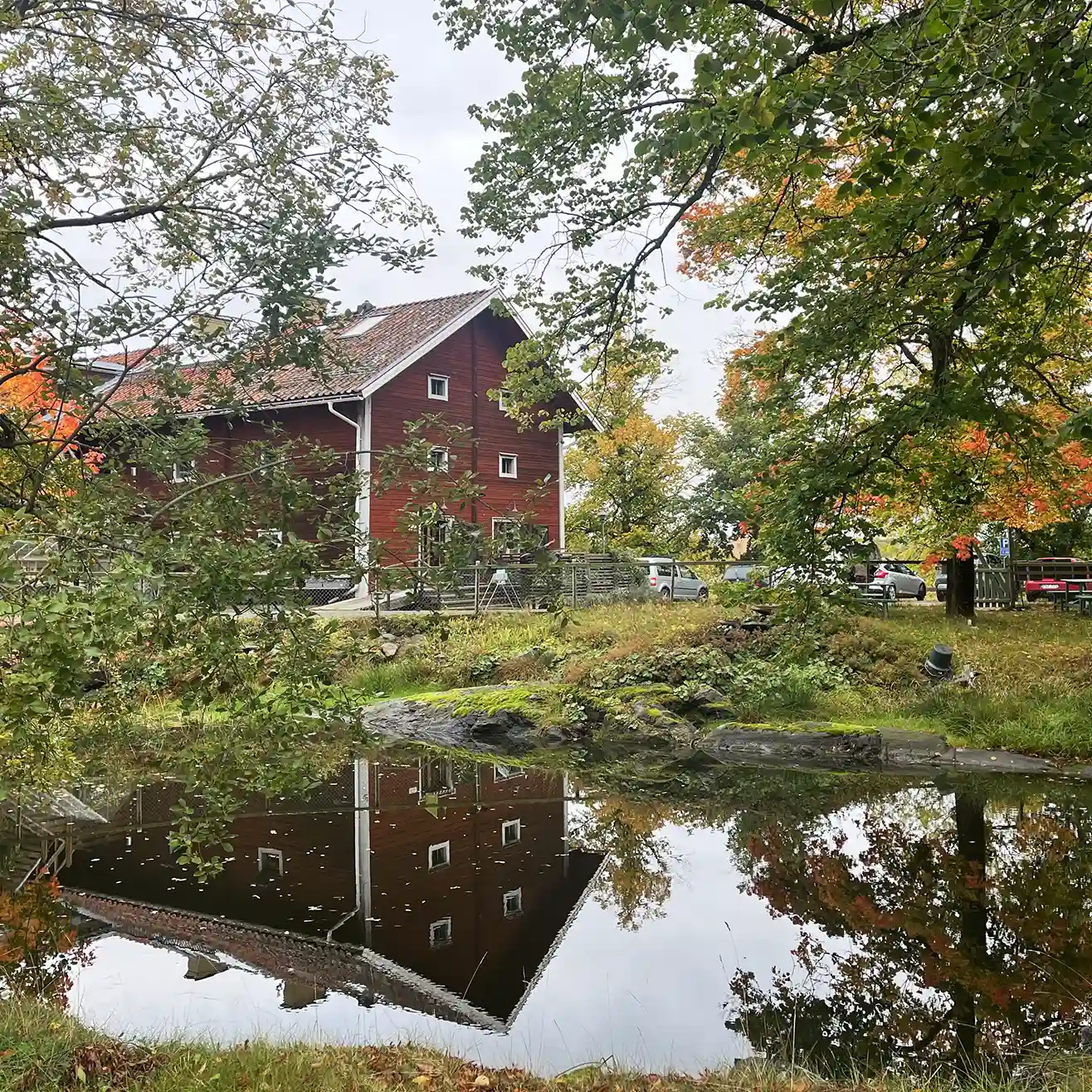 Ekobankens röda huvudkontorsbyggnad speglar sig i vattnet och är inbäddad i varma höstfärger.
